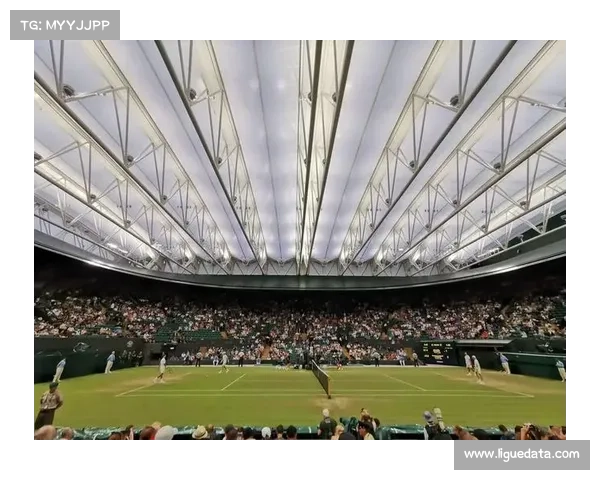 IBM与温网合作AI故事卡片，生成式技术提升观赛体验