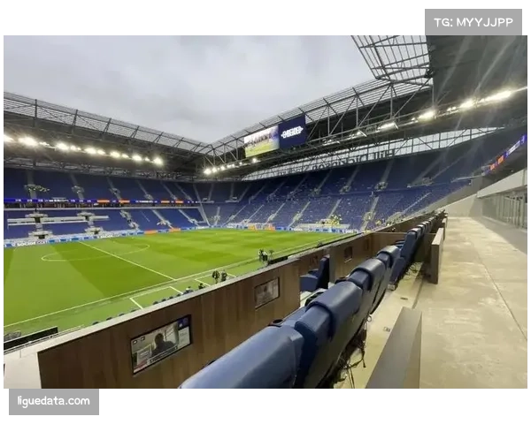 连线现场：揭秘弗赖堡主场欧罗巴公园球场的火爆助威氛围