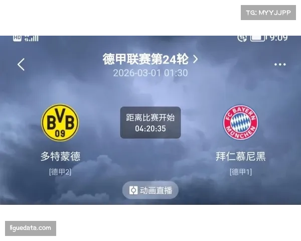 即时比分：云达不莱梅连追两球，2-2逼平柏林联